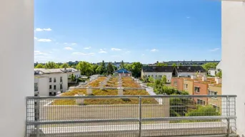Weitblick vom Balkon über begrünte Dächer und die umliegende Wohngegend unter blauem Himmel.
