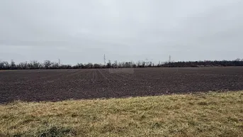 Expose Großzügiges Grundstück zur landwirtschaftlichen Nutzung in Essling zu verkaufen!