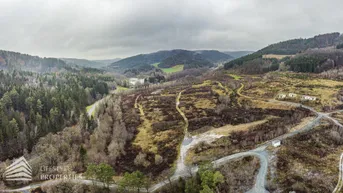 Expose Sensationelle Investition! Grundstück in Thermenregion mit Projektstudie für Wohn/Ferienprojekt mit Badesee