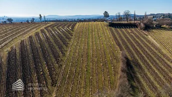 Expose 6.800 m² Fläche! Prominenter Weingarten mit Blick auf die Leopoldskirche
