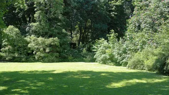 Expose Großartiges Grundstück in Ruhelage, Nähe Korneuburg