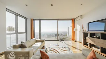 Expose Einzigartiger Blick über Wien! Garconniere mit Terrasse am Kahlenberg