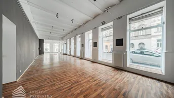 Expose Elegantes Büro mit Galerie im 7. Wiener Gemeindebezirk