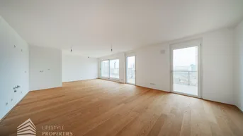 Expose Helle 5-Zimmer Maisonette mit Dachgarten, Nähe Alte Donau