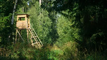 Expose Exklusives Waldgrundstück in Döbling, Nähe Krapfenwaldbad