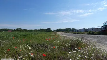 Expose NATURNAHES BAUGRUNDSTÜCK NÄHE ZU WIEN UND BRATISLAVA