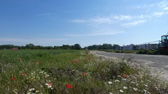 Expose NATURNAH NEUE SIEDLUNG NÄHE WIEN BRATISLAVA