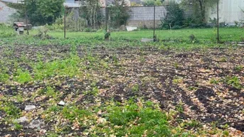 Expose Gols: 2 nebeneinander befindliche Baugrundstücke in ruhiger, eingesessener Wohngegend / Bauland Mischgebiet