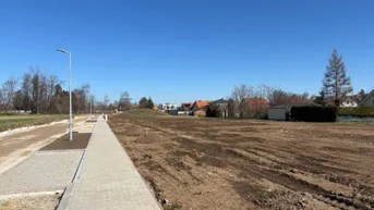 Expose Potzneusiedl - 3 perfekte Baugrundstücke in absoluter Ruhelage - OHNE BAUZWANG