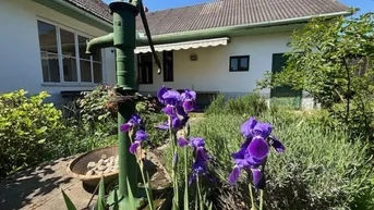 Expose Charmantes Landhaus in bester Lage in Andau