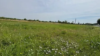 Expose Sonniges Baugrundstück in ruhiger Lage in Purbach