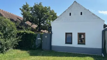 Expose Halbturn - Erwecken Sie das alte burgenländische Bauernhaus zum Leben