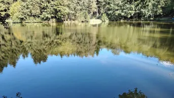 Expose Naturidylle mit Fischteichanlage nahe Stadtschlaining