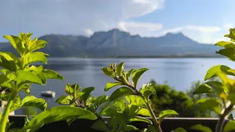 Expose Ein Haus. Ein See. Ein Traum(blick). Zwei Wohneinheiten - Wohnen &amp; Vermieten oder Zweifamilienhaus 