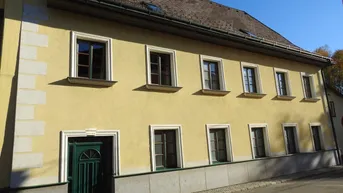 Expose Sehr gepflegtes und schönes Herrenstadthaus mit über 300-jähriger Adelsgeschichte in Heidenreichstein im idyllischen Waldviertel!