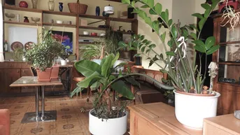 Expose Einfamilienhaus mit ehemaligem Lokal, gemauertem Stadel und Garten in Weitersfeld im Bezirk Horn!