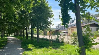 Expose 4299m2 großes Grundstück mitten im Stadt!