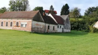 Expose Ca. 5.500 m2 Grund mit Altbestand für € 36,-/m2
