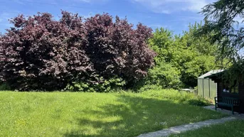 Expose Traumgrundstück in Linzer Top-Lage für Ihr Eigenheim oder als Anlage!