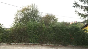 Expose Baugrundstück in ruhiger Lage in Wolfern – kein Bauzwang, kein Bebauungsplan