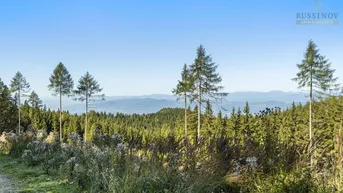 Expose Naturnaher Wohntraum mit Bergblick, Terrasse &amp; großem Garten #Ferienhaus