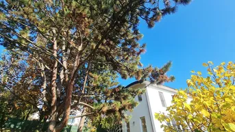 Expose Willkommen in Ihren luxeriösen familienfreundlichen neuen Zuhause in Top- Grünruhelage 1130 Wien!