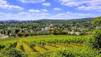 Malerische Weinberge mit Blick auf eine charmante Siedlung in der hügeligen Landschaft.