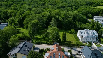 Luftaufnahme einer Wohngegend mit Häusern, Straße und einem großen Waldgebiet im Hintergrund.
