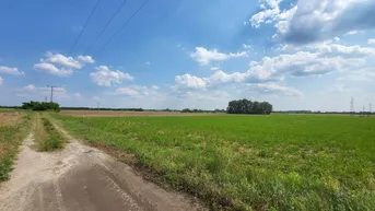 Expose Großflächige Gewerbegrundstücke mit Potential in Mittelungarn zu verkaufen