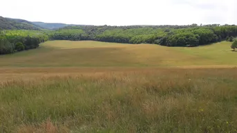 Expose Dorf Iliny - 33 ha Landwirtschaftliche Grundstücke im Norden von Ungarn zum kaufen