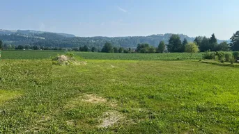 Expose Sonniges Grundstück in Ruhelage von Kappel an der Drau nahe Ferlach