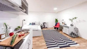 Expose 1 ZI-WOHNUNG IN WIEN - 20. BEZIRK - BRIGITTENAU, MÖBLIERT