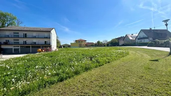 Expose Traumhaftes Grundstück in Ansfelden: 935m² für 359.000 € – Ihr Bauplatz wartet!