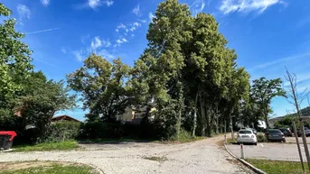 Expose PROVISIONSFREI: Moderne 2-Zimmer-Wohnung mit Terrasse und Stadtblick in Ansfelden/Nettingsdorf