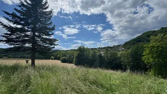 Expose Traumhaftes und ruhiges Baugrundstück in Gossendorf - ca. 1.250 m²