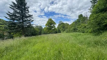 Expose Sonniges und ruhiges Baugrundstück in Gossendorf - ca. 2.500 m²