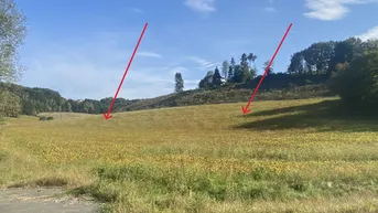 Expose Landwirtschaftliche Flächen (8 ha-vorrangig Ackerland) in Altenmarkt bei Riegersburg zu VERKAUFEN