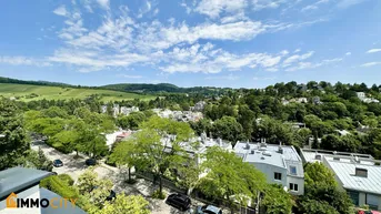Expose Neuer Preis! Dachtraum 3,5 Zimmer + 96 m² Dachterrasse, luxuriös, Erstklassige Ausstattung in grünem Döbling