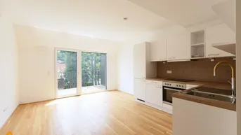 Expose Zu vermieten: Dachtraum (Top 30) Exklusive Erstbezugswohnung 71,19 m² + XL Dachterrasse 49,14 m², Hauptstraße 42, 3013 Tullnerbach-Lawies