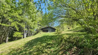 Expose !Seltene Mietgelegenheit! Idyllische Hütte mit Freizeitwohnsitzwidmung in Tulfes