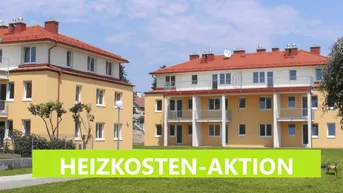 Expose Maissau V - LZ: 1800 - Top 204