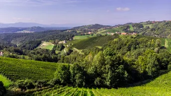 Expose Verwandlung von Grünland in Wein- und Urlaubsparadies