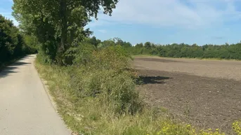 Expose Traumhaftes Baugrundstück in Illmitz – Ihr neues Eigenheim auf Eigengrund!