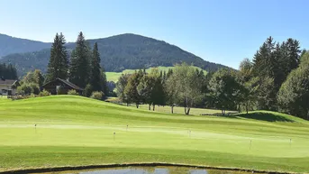 Expose Idyllisches Freilandjuwel mit Baubewilligung und Freizeitwidmung