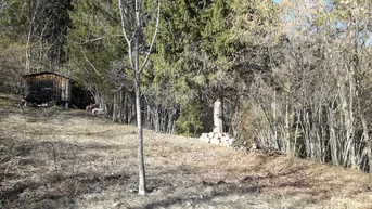 Expose Hütte im Grünen mit Wiese, Wald und Bach in d. Nähe