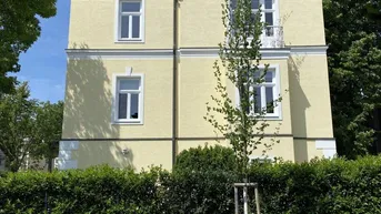 Rückansicht der gelben Villa mit Mansarddach, Dachterrasse und grüner Hecke.