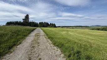 Expose Zum Verkauf steht ein zusammenhängendes Landwirtschafts- und Waldgrundstück