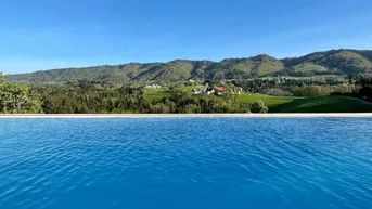 Expose Einfamilienhaus 120 m² inkl. 10.000 m² Weingarten und 2 veräußerbare Parzellen Bauland (Alleinlage mit Infinity-Pool)