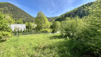 Expose Kleines Paradies: 1.586m² großes Baugrundstück in 2371 Hinterbrühl