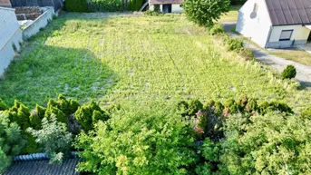 Expose Großzügiges Grundstück mit Altbestand in Kittsee, Bezirk Neusiedl am See